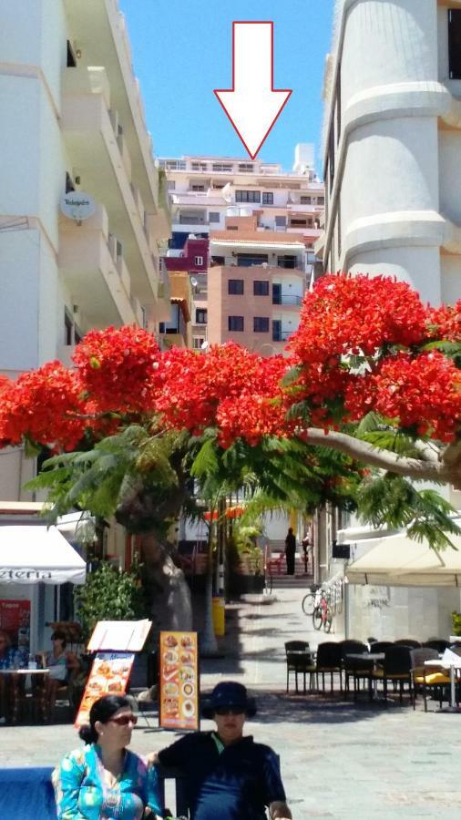 Ocean View Cactus I , Over Los Cristianos, Playa Las Vistas Los Cristianos  Ngoại thất bức ảnh